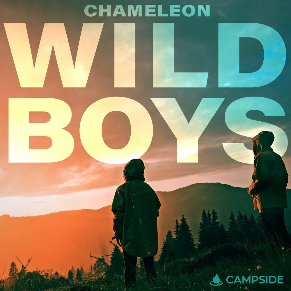 Wild Boys cover art